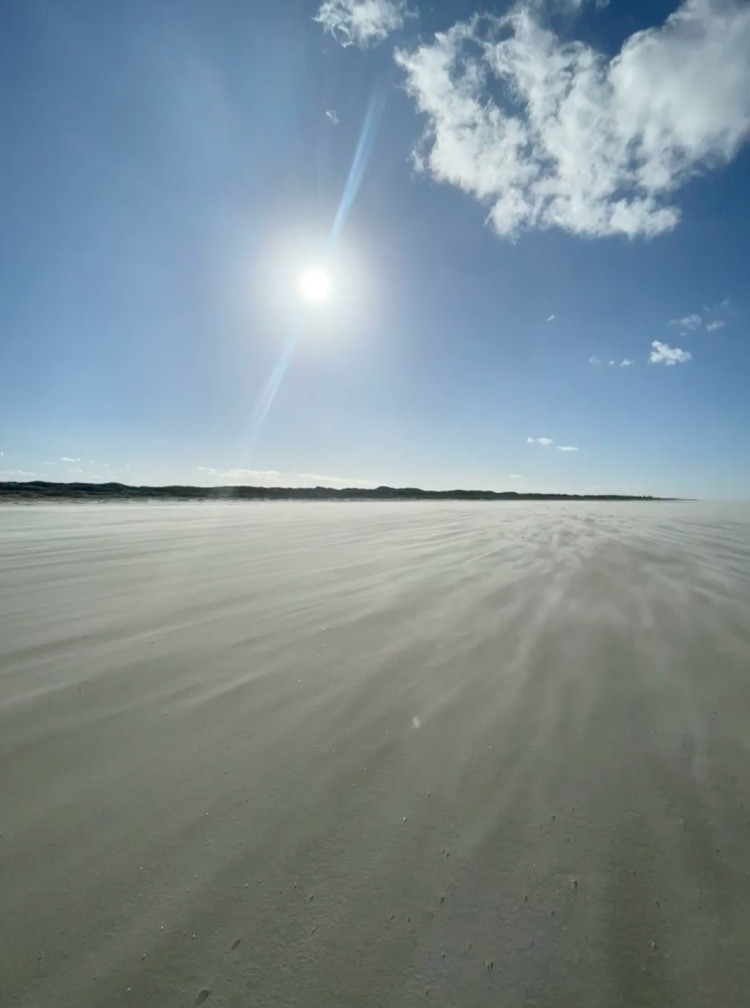 Video Poster Image